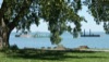 local picture