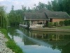 local picture
