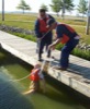 local picture