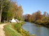 local picture