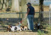 local picture
