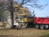 local picture