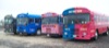 local picture