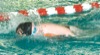 local picture