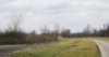 local picture