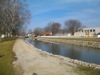 local picture