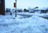 local picture