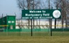 local picture