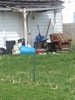 local picture