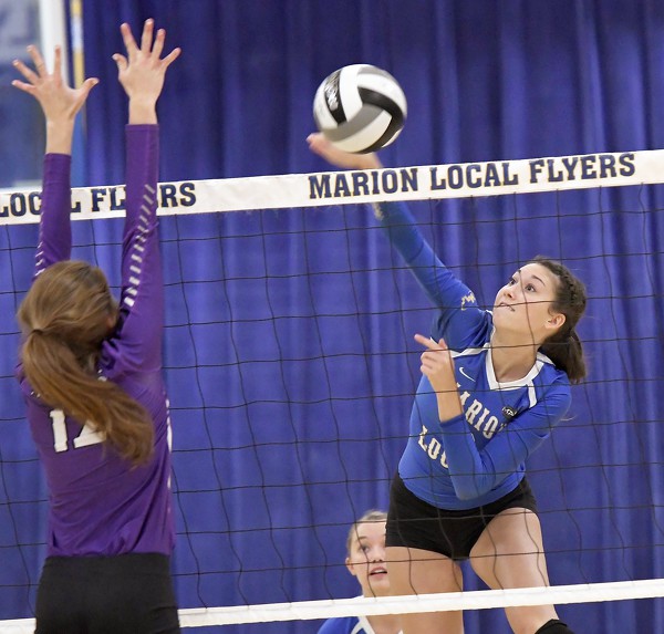 Marion Local vs Fort Recovery volleyball Photo Album The Daily Standard