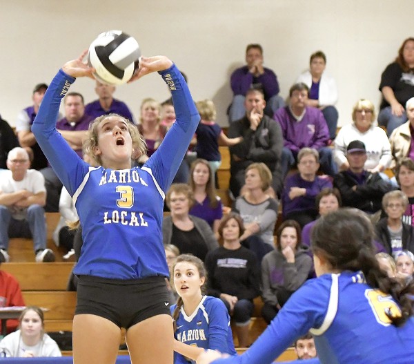 Marion Local vs Fort Recovery volleyball Photo Album The Daily Standard