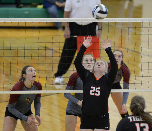New Bremen vs Jackson Center volleyball Photo Album The Daily Standard