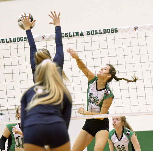 Celina vs Napoleon volleyball Photo Album The Daily Standard