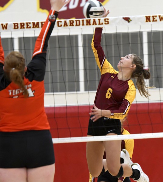 New Bremen vs Jackson Center volleyball Photo Album The Daily Standard