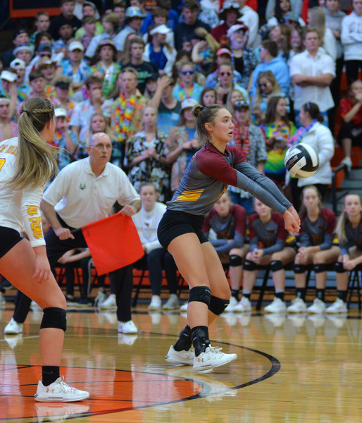 New Bremen vs St. Henry volleyball Photo Album The Daily Standard