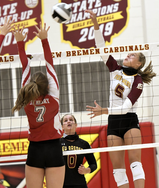 New Bremen vs St. Henry volleyball Photo Album The Daily Standard