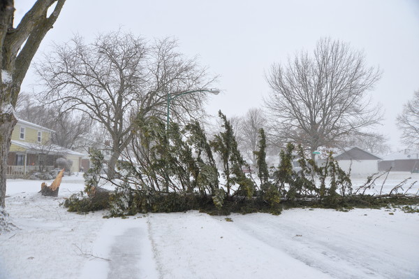 Snow, wind and bitter cold impact area Photo Album | The Daily Standard