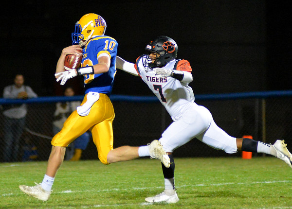 Marion Local vs West Liberty-Salem football Photo Album | The Daily