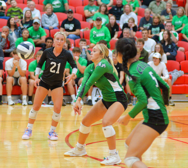 Celina vs volleyball Photo Album The Daily Standard