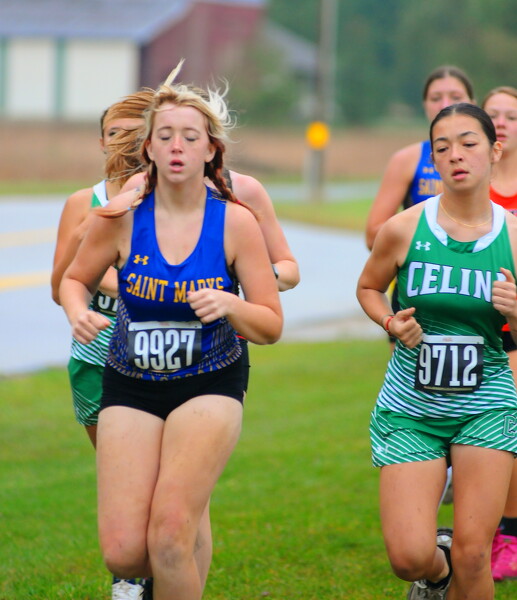 WBL cross country meet Photo Album The Daily Standard