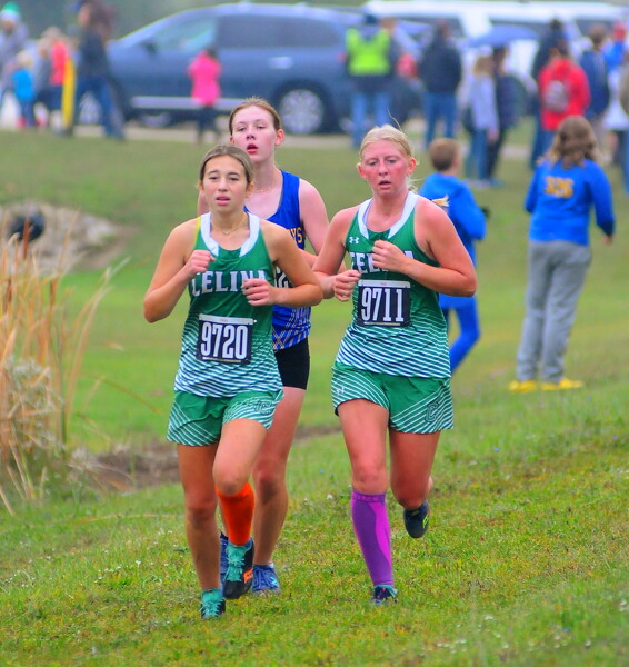 WBL cross country meet Photo Album The Daily Standard