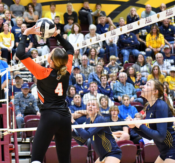 Coldwater vs OttawaGlandorf volleyball Photo Album The Daily Standard