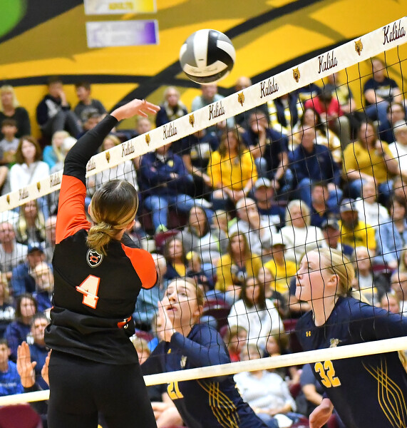 Coldwater vs OttawaGlandorf volleyball Photo Album The Daily Standard