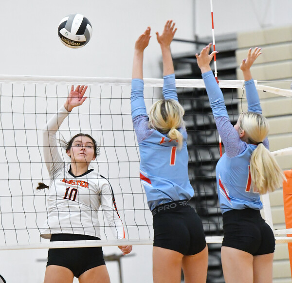 Minster vs Lima Central Catholic volleyball Photo Album The Daily