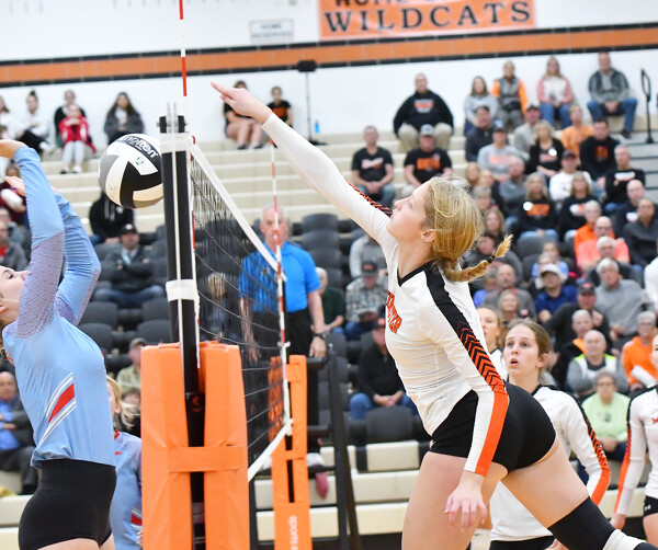 Minster vs Lima Central Catholic volleyball Photo Album The Daily