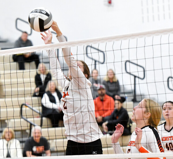Minster vs Lima Central Catholic volleyball Photo Album The Daily