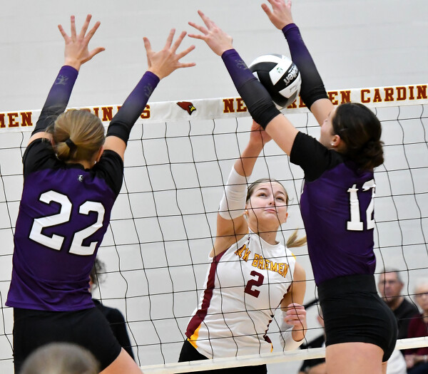 New Bremen vs Fort Recovery volleyball Photo Album The Daily Standard