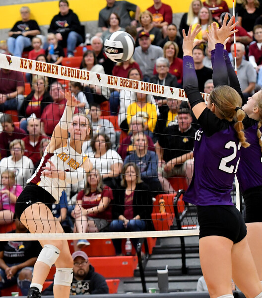 New Bremen vs Fort Recovery volleyball Photo Album The Daily Standard
