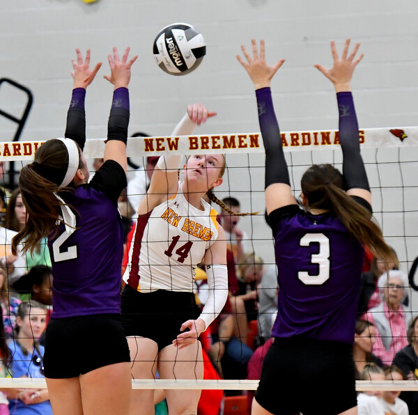 New Bremen vs Fort Recovery volleyball Photo Album The Daily Standard