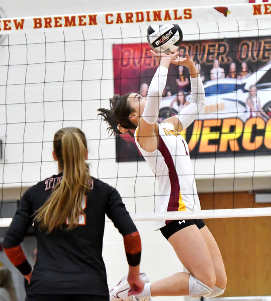 New Bremen vs Jackson Center volleyball Photo Album The Daily Standard
