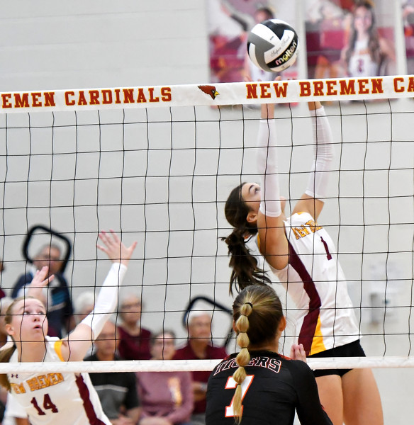 New Bremen vs Jackson Center volleyball Photo Album The Daily Standard