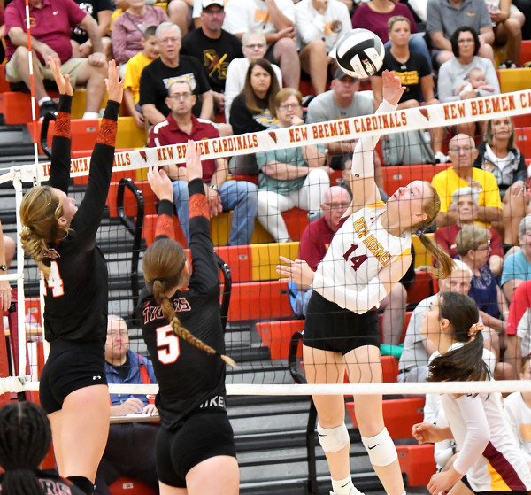 New Bremen vs Jackson Center volleyball Photo Album The Daily Standard