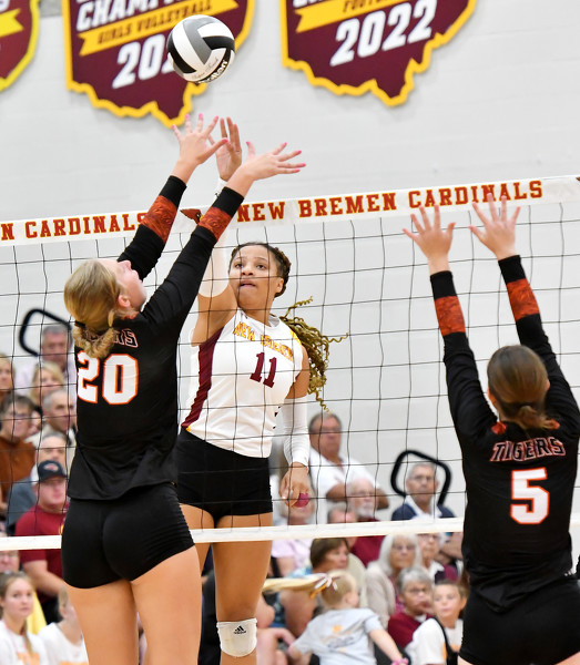 New Bremen vs Jackson Center volleyball Photo Album The Daily Standard