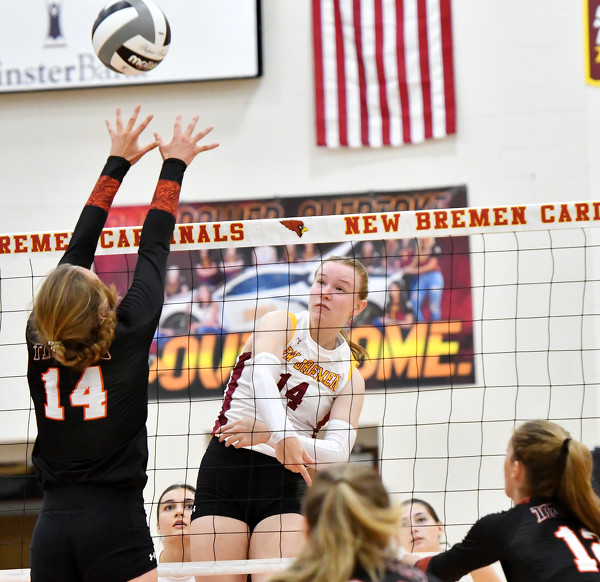 New Bremen vs Jackson Center volleyball Photo Album The Daily Standard