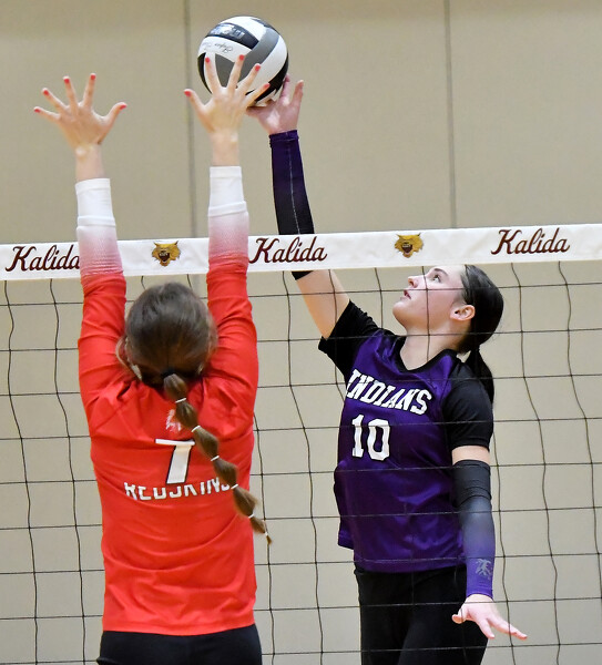 St. Henry vs Fort Recovery volleyball Photo Album The Daily Standard