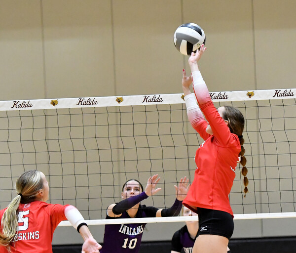 St. Henry vs Fort Recovery volleyball Photo Album The Daily Standard
