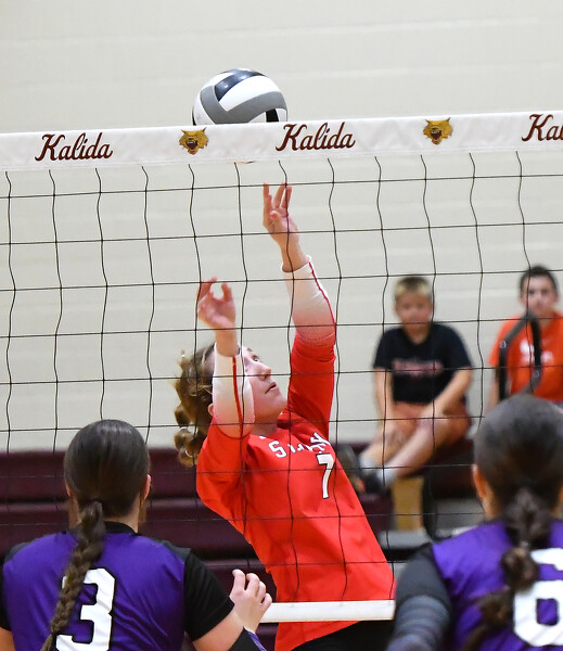 St. Henry vs Fort Recovery volleyball Photo Album The Daily Standard