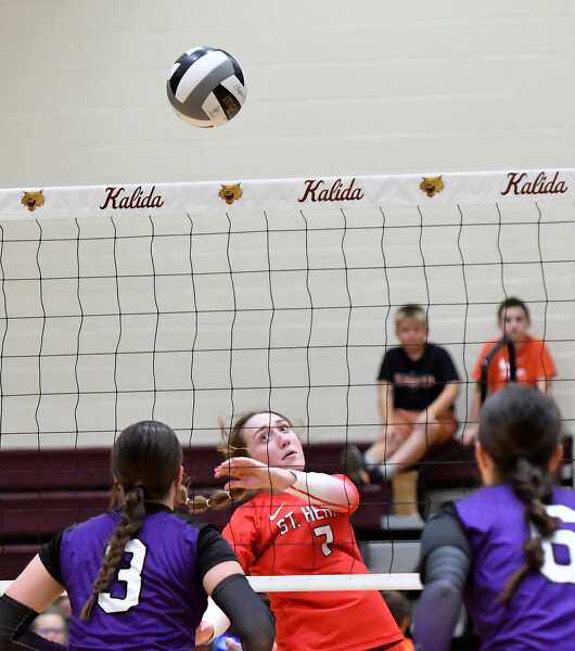 St. Henry vs Fort Recovery volleyball Photo Album The Daily Standard