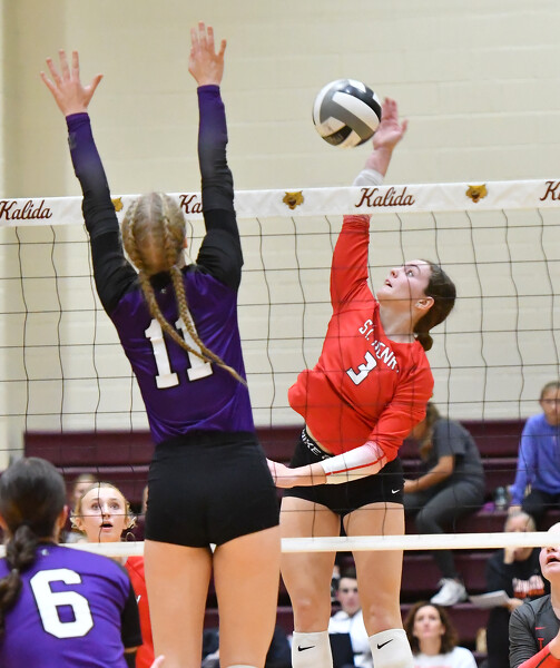 St. Henry vs Fort Recovery volleyball Photo Album The Daily Standard