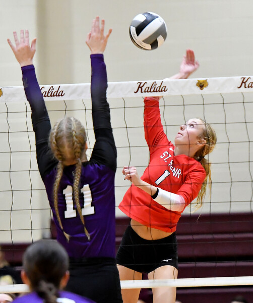 St. Henry vs Fort Recovery volleyball Photo Album The Daily Standard