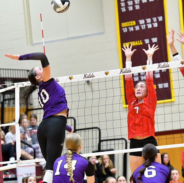 St. Henry vs Fort Recovery volleyball Photo Album The Daily Standard