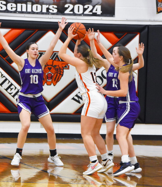 Minster vs Fort Recovery girls basketball Photo Album The Daily Standard
