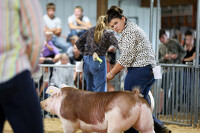 thum pict