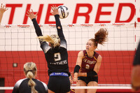 thum pict