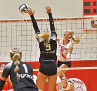 thum pict